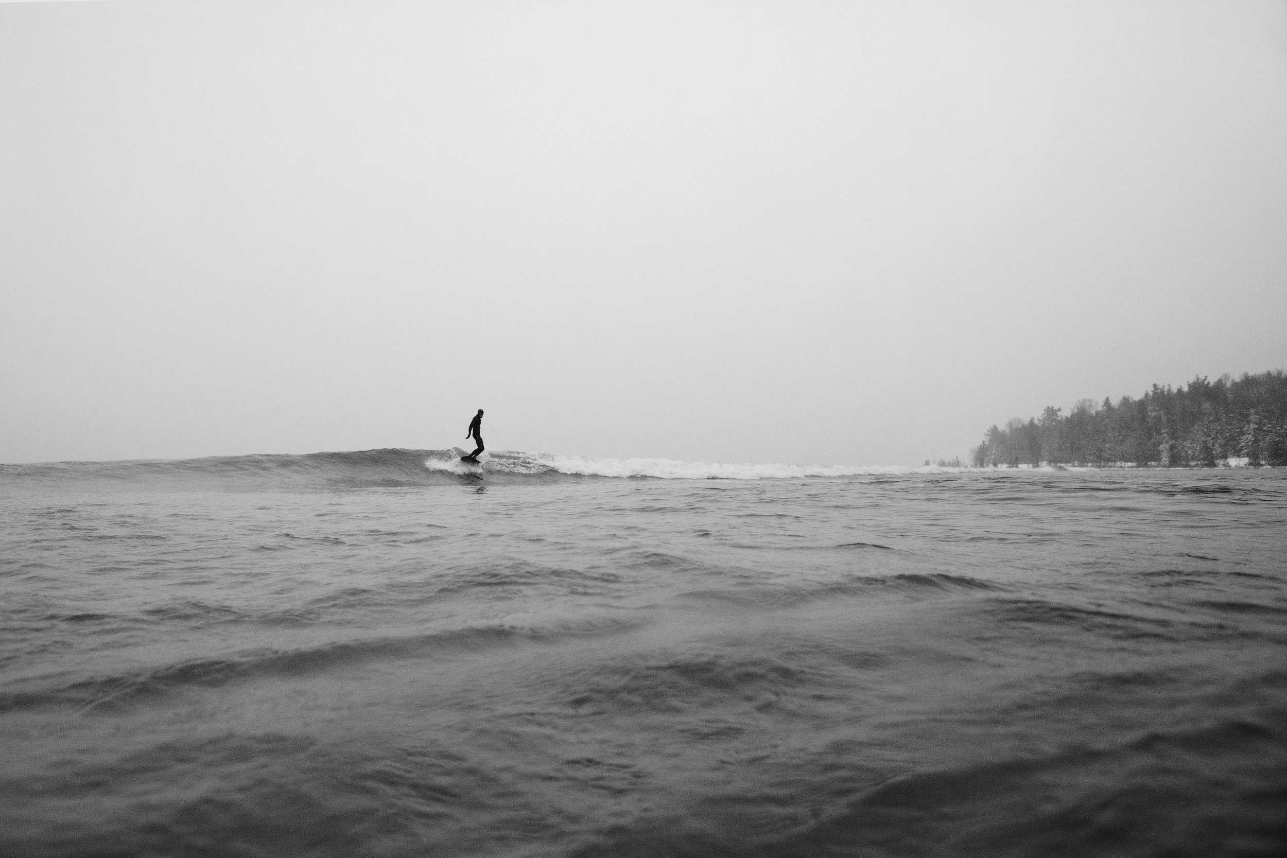 006_24x36_web.jpg